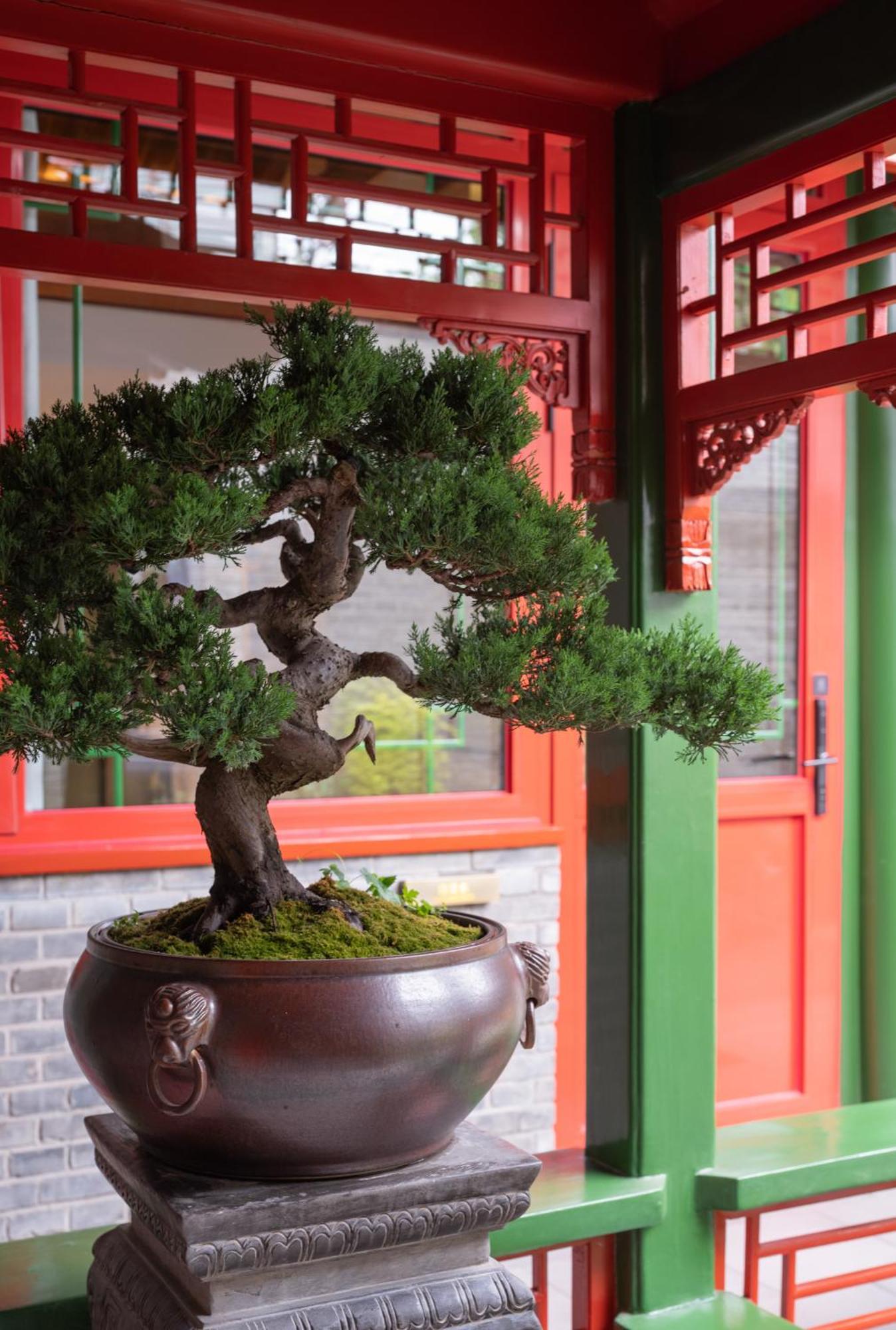 Xinxiang Yayuan Beijing Sihe Courtyard With Sky Garden Terrace Near Tiananmen Square Forbidden City Wangfujing Pedestrian Street And The Subway Ngoại thất bức ảnh